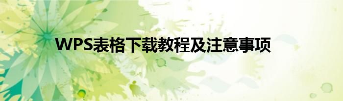 WPS表格下载教程及注意事项