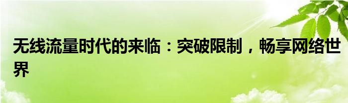 无线流量时代的来临：突破限制，畅享网络世界