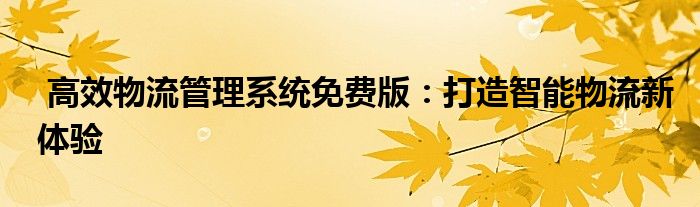  高效物流管理系统免费版：打造智能物流新体验