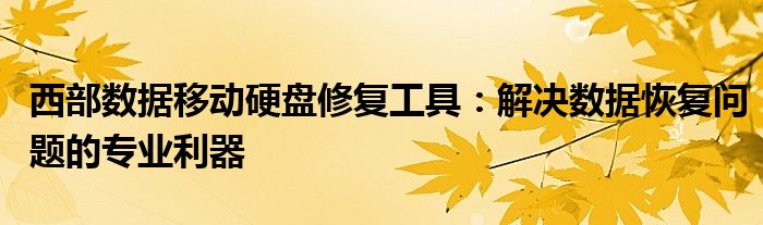 西部数据移动硬盘修复工具：解决数据恢复问题的专业利器