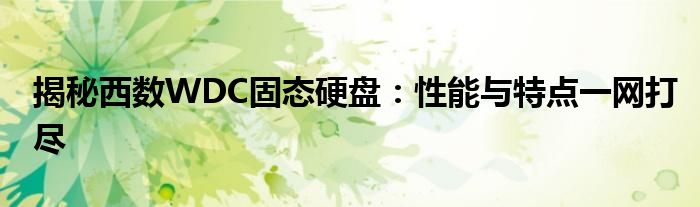 揭秘西数WDC固态硬盘：性能与特点一网打尽