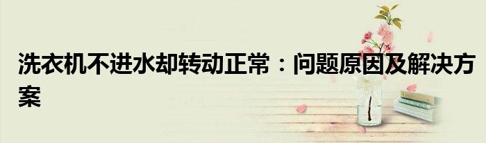 洗衣机不进水却转动正常：问题原因及解决方案