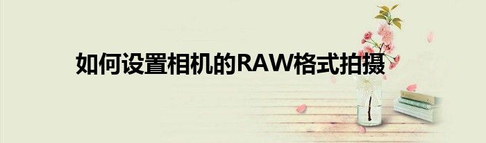 如何设置相机的RAW格式拍摄
