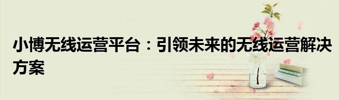 小博无线运营平台：引领未来的无线运营解决方案