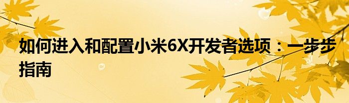 如何进入和配置小米6X开发者选项：一步步指南