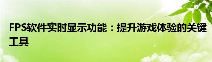 FPS软件实时显示功能：提升游戏体验的关键工具