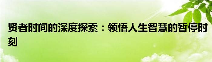 贤者时间的深度探索：领悟人生智慧的暂停时刻