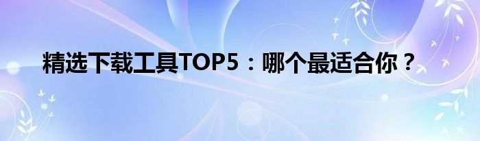 精选下载工具TOP5：哪个最适合你？