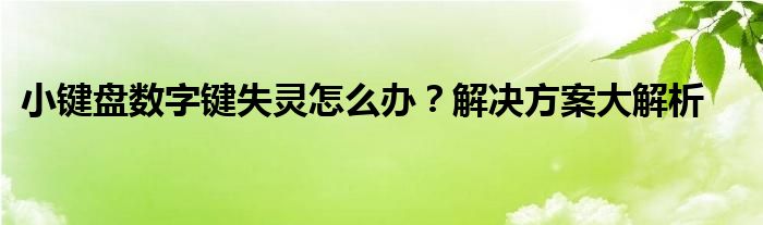 小键盘数字键失灵怎么办？解决方案大解析