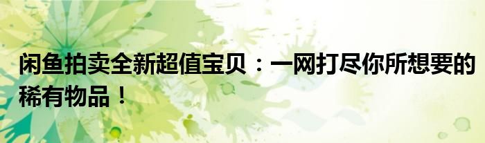 闲鱼拍卖全新超值宝贝：一网打尽你所想要的稀有物品！