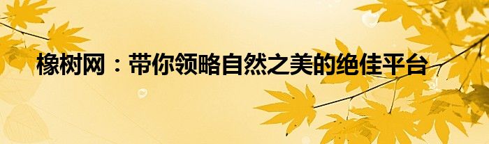 橡树网：带你领略自然之美的绝佳平台