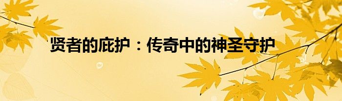 贤者的庇护：传奇中的神圣守护