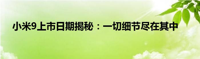 小米9上市日期揭秘：一切细节尽在其中
