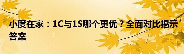 小度在家：1C与1S哪个更优？全面对比揭示答案