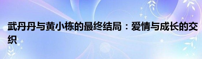 武丹丹与黄小栋的最终结局：爱情与成长的交织