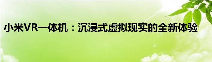 小米VR一体机：沉浸式虚拟现实的全新体验