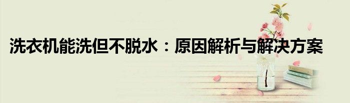 洗衣机能洗但不脱水：原因解析与解决方案