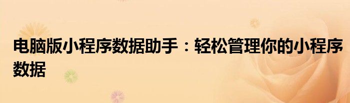 电脑版小程序数据助手：轻松管理你的小程序数据