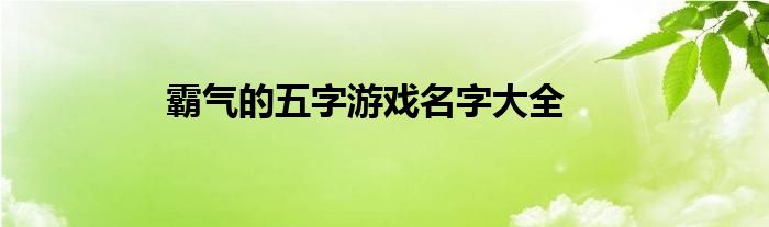 霸气的五字游戏名字大全