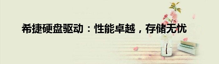 希捷硬盘驱动：性能卓越，存储无忧