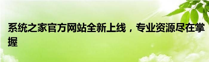系统之家官方网站全新上线，专业资源尽在掌握
