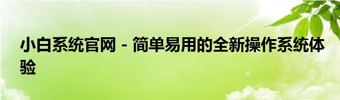 小白系统官网 - 简单易用的全新操作系统体验
