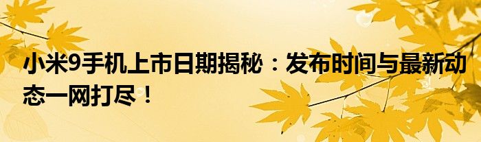 小米9手机上市日期揭秘：发布时间与最新动态一网打尽！