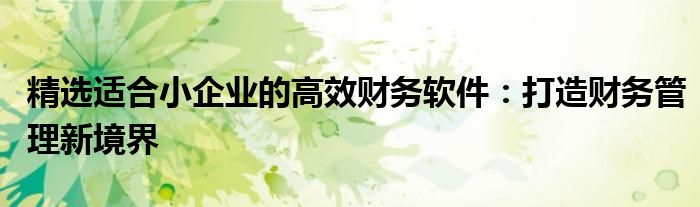 精选适合小企业的高效财务软件：打造财务管理新境界