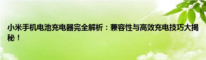 小米手机电池充电器完全解析：兼容性与高效充电技巧大揭秘！