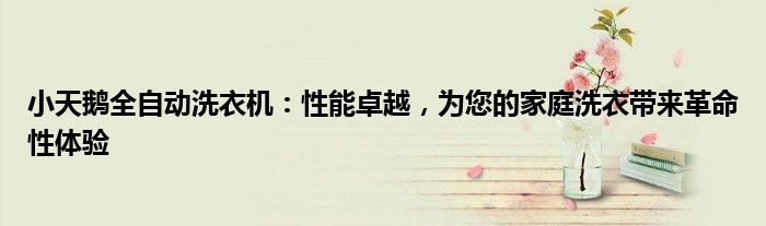 小天鹅全自动洗衣机：性能卓越，为您的家庭洗衣带来革命性体验