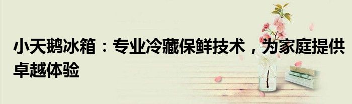 小天鹅冰箱：专业冷藏保鲜技术，为家庭提供卓越体验