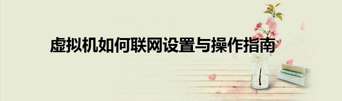 虚拟机如何联网设置与操作指南