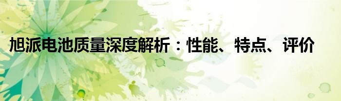 旭派电池质量深度解析：性能、特点、评价