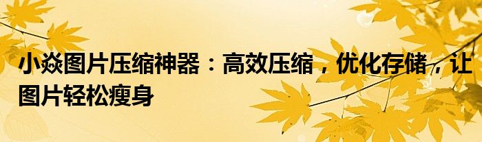 小焱图片压缩神器：高效压缩，优化存储，让图片轻松瘦身