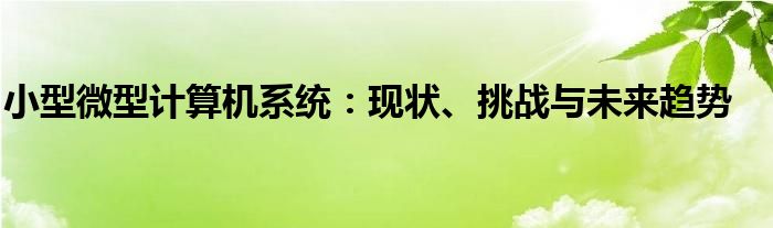 小型微型计算机系统：现状、挑战与未来趋势