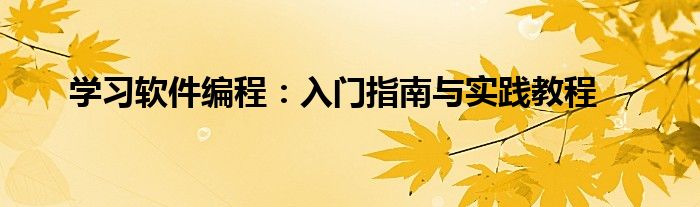 学习软件编程：入门指南与实践教程