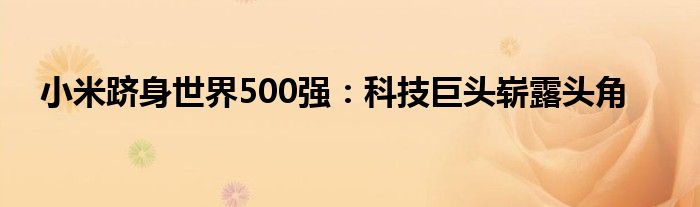 小米跻身世界500强：科技巨头崭露头角
