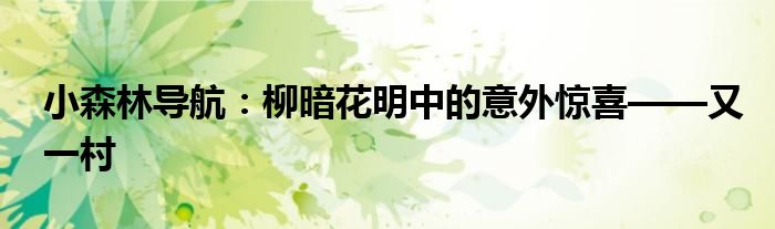 小森林导航：柳暗花明中的意外惊喜——又一村