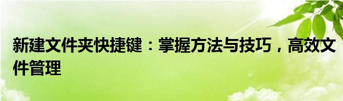 新建文件夹快捷键：掌握方法与技巧，高效文件管理