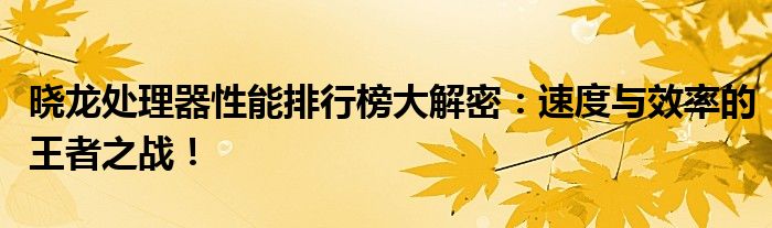 晓龙处理器性能排行榜大解密：速度与效率的王者之战！