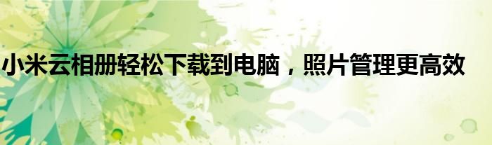 小米云相册轻松下载到电脑，照片管理更高效