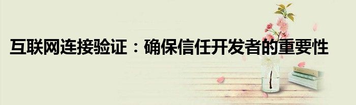 互联网连接验证：确保信任开发者的重要性