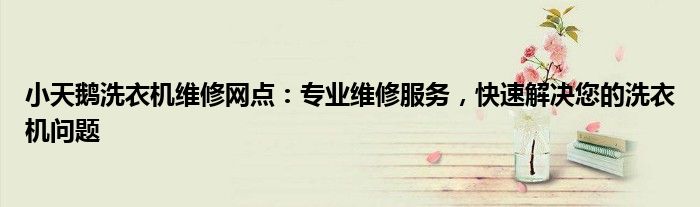 小天鹅洗衣机维修网点：专业维修服务，快速解决您的洗衣机问题