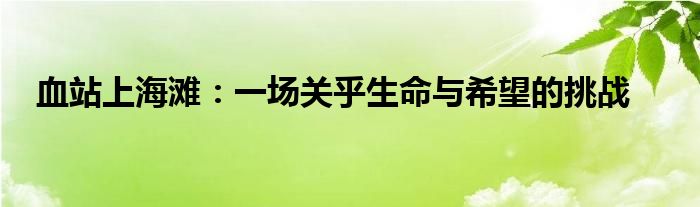 血站上海滩：一场关乎生命与希望的挑战