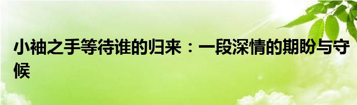 小袖之手等待谁的归来：一段深情的期盼与守候