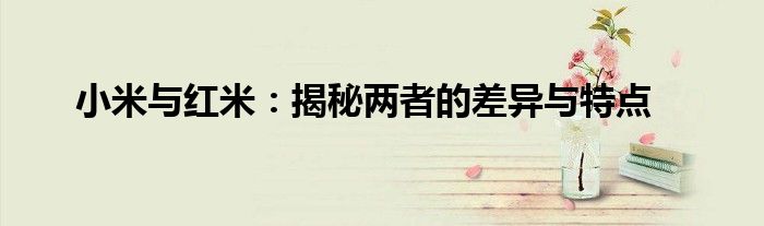 小米与红米：揭秘两者的差异与特点