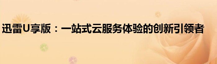 迅雷U享版：一站式云服务体验的创新引领者
