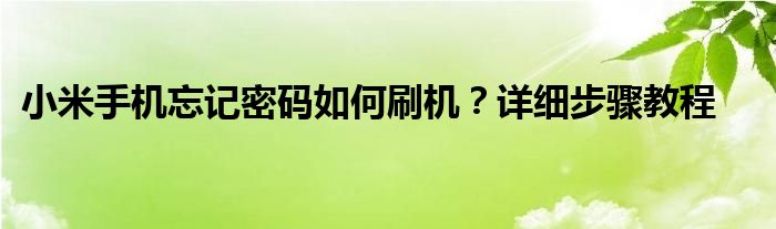小米手机忘记密码如何刷机？详细步骤教程