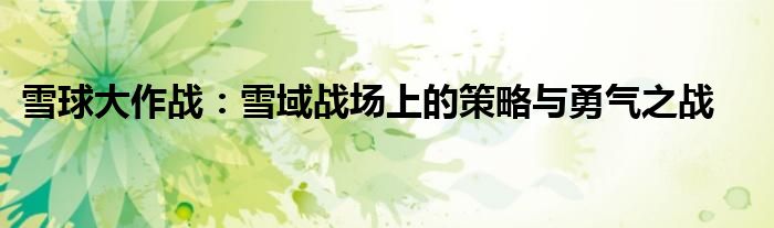 雪球大作战：雪域战场上的策略与勇气之战