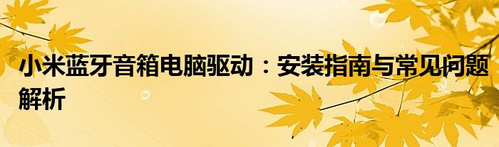 小米蓝牙音箱电脑驱动：安装指南与常见问题解析
